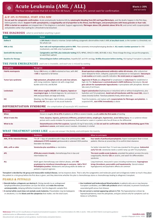 Acute Leukemia (AML / ALL) one-page infographic. The four first-48-hour emergencies · why APL starts ATRA on suspicion, and differentiation syndrome.