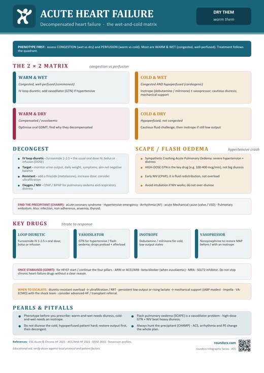 Acute Heart Failure one-page infographic. Decompensated heart failure · the wet-and-cold matrix.
