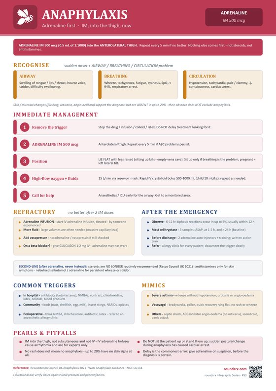 Anaphylaxis one-page infographic. Adrenaline first · IM, into the thigh, now.