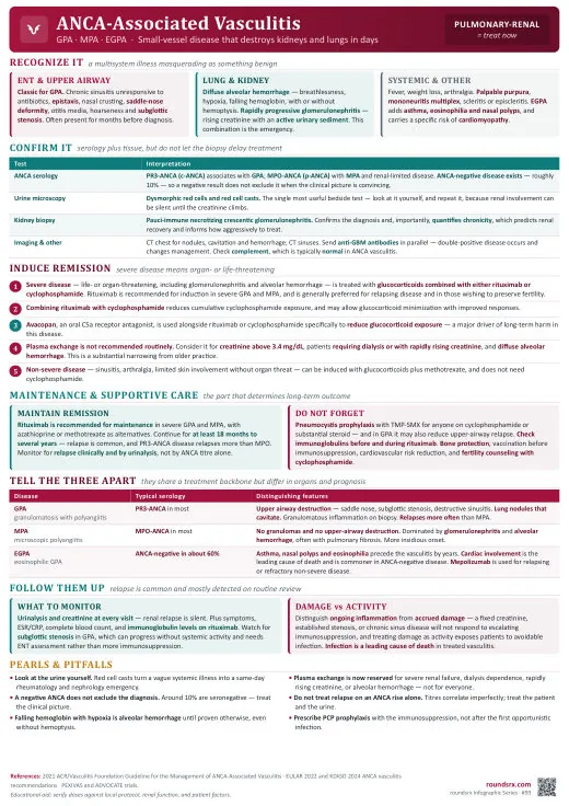 ANCA-Associated Vasculitis one-page infographic. GPA · MPA · EGPA · pulmonary-renal disease is the emergency. Tap to open the full-size printable PDF.