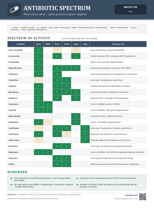 Antibiotic Spectrum one-page infographic. What covers what · gram-positive vs gram-negative.