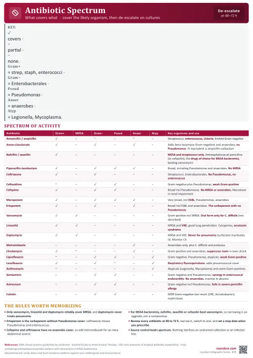 Antibiotic Spectrum one-page infographic. What covers what · gram-positive vs gram-negative. Tap to open the full-size printable PDF.