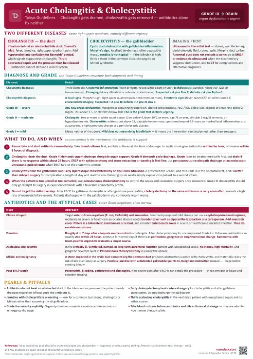 Acute Cholangitis & Cholecystitis one-page infographic. Tokyo Guidelines · Drain the duct, remove the gallbladder. Tap to open the full-size printable PDF.