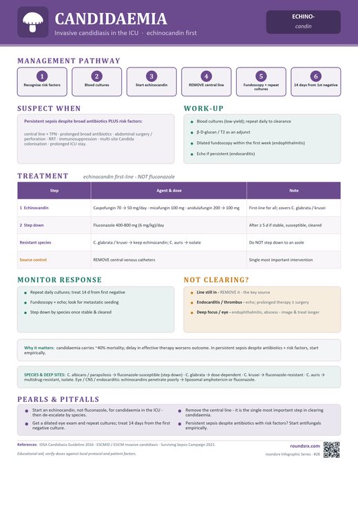 Candidemia one-page infographic. Invasive candidiasis in the ICU · echinocandin first.