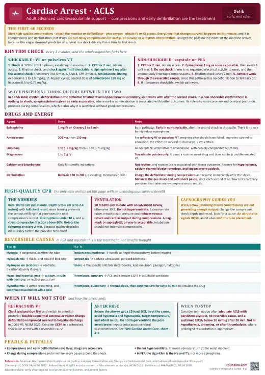 Cardiac Arrest · ACLS one-page infographic. Adult Advanced Life Support · 2025 AHA. Tap to open the full-size printable PDF.