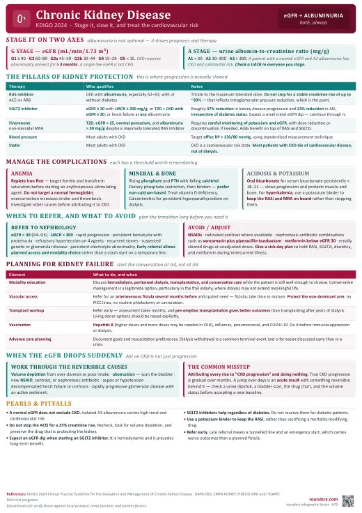 Chronic Kidney Disease one-page infographic. KDIGO 2024 · stage it, slow it, treat the cardiovascular risk. Tap to open the full-size printable PDF.