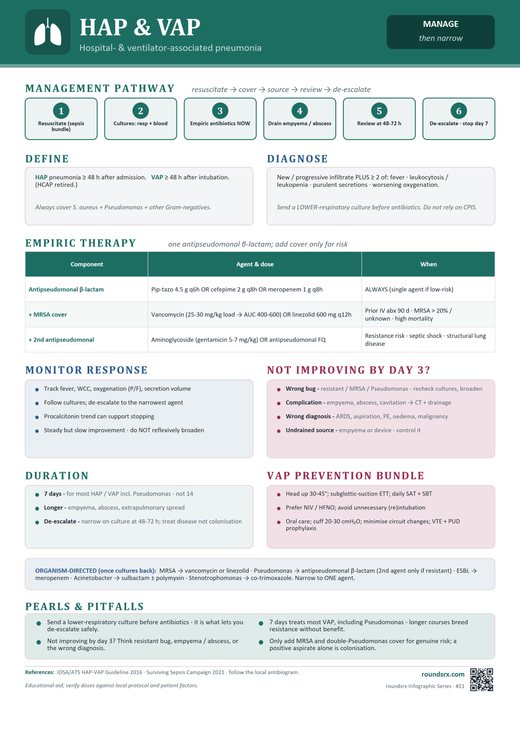 HAP & VAP one-page infographic. Hospital- & ventilator-associated pneumonia.