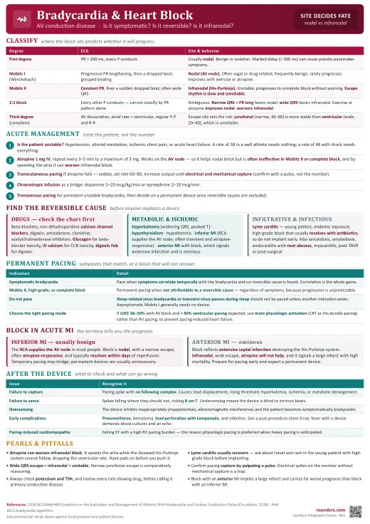 Bradycardia & Heart Block one-page infographic. Symptomatic? Reversible? Infranodal? · the three questions. Tap to open the full-size printable PDF.