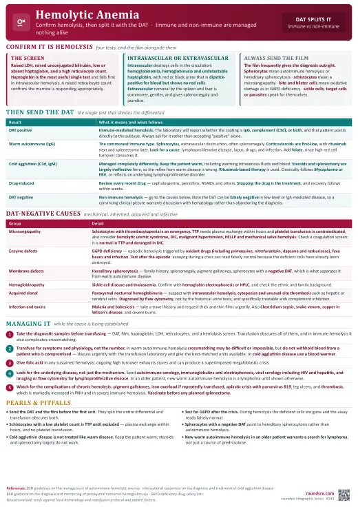 Hemolytic Anemia one-page infographic. Confirm hemolysis, then let the DAT split it.