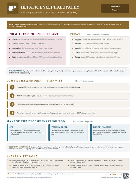 Hepatic Encephalopathy one-page infographic. Find the precipitant · lactulose · protect the airway.