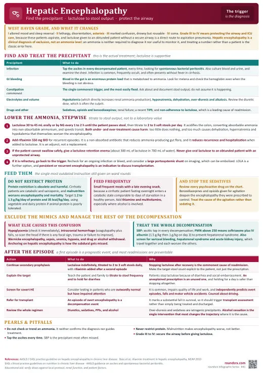 Hepatic Encephalopathy one-page infographic. Find the precipitant · lactulose · protect the airway. Tap to open the full-size printable PDF.