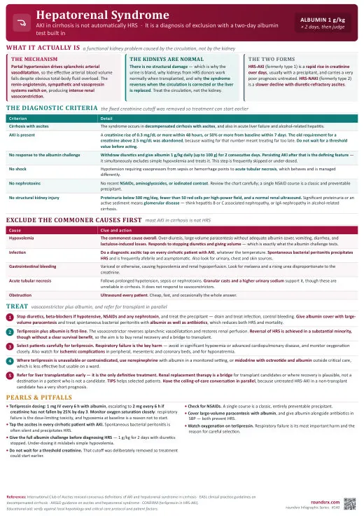 Hepatorenal Syndrome one-page infographic. Exclude everything else, then terlipressin and albumin. Tap to open the full-size printable PDF.