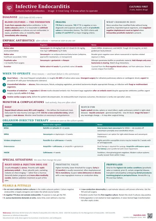Infective Endocarditis one-page infographic. Cultures before antibiotics · image, treat long, know when to operate. Tap to open the full-size printable PDF.