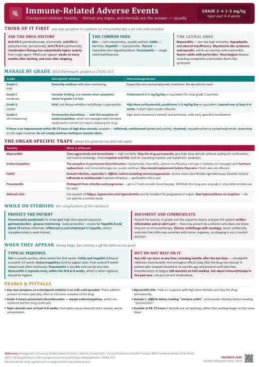 Immune-Related Adverse Events one-page infographic. Checkpoint inhibitor toxicity · grade it, then steroid it.
