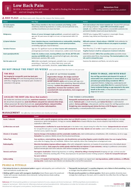 Low Back Pain one-page infographic. Find the few percent that is not nonspecific · then do not image the rest. Tap to open the full-size printable PDF.