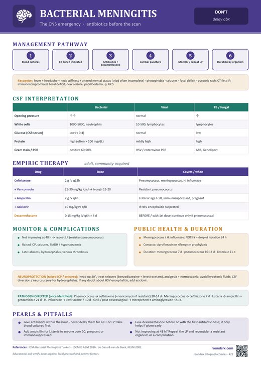 Bacterial Meningitis one-page infographic. The CNS emergency · antibiotics before the scan.