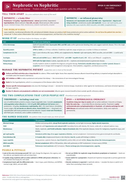 Nephrotic vs Nephritic one-page infographic. Protein or blood? · the question that splits the differential. Tap to open the full-size printable PDF.