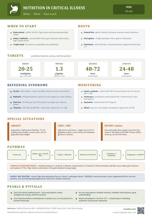 Nutrition in Critical Illness one-page infographic. When · What · How much.
