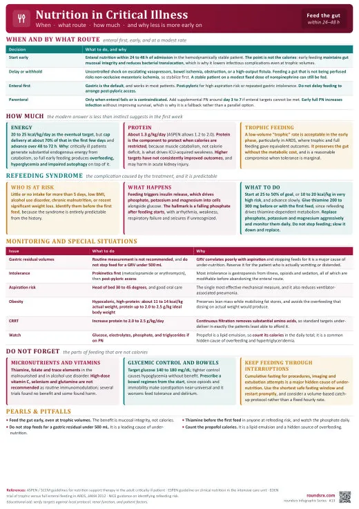 Nutrition in Critical Illness one-page infographic. When · What · How much.