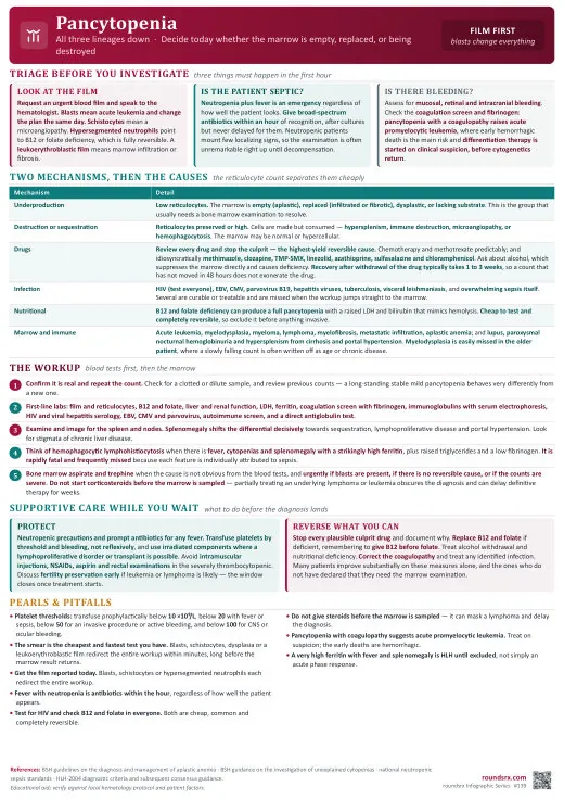 Pancytopenia one-page infographic. Empty, replaced or destroyed · The film decides today.