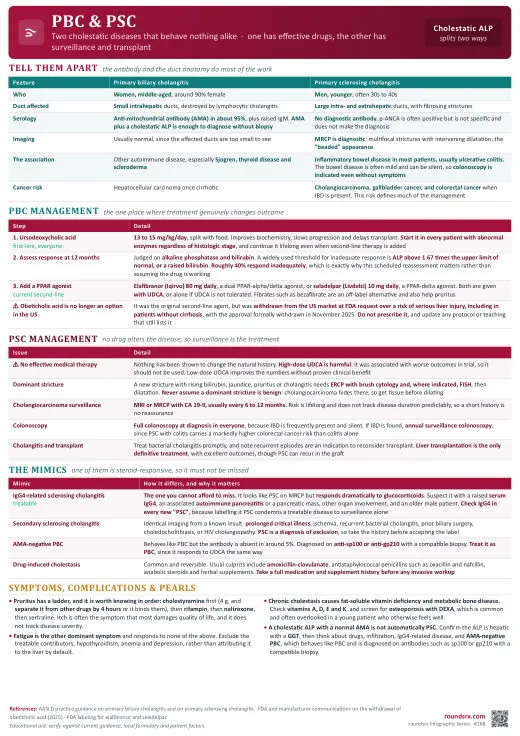PBC & PSC one-page infographic. Two cholestatic diseases that behave nothing alike · and the second-line change after obeticholic acid was withdrawn.