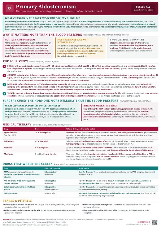Primary Aldosteronism one-page infographic. Screen every hypertensive (2025) · surgery cures the hormone, not always the BP.