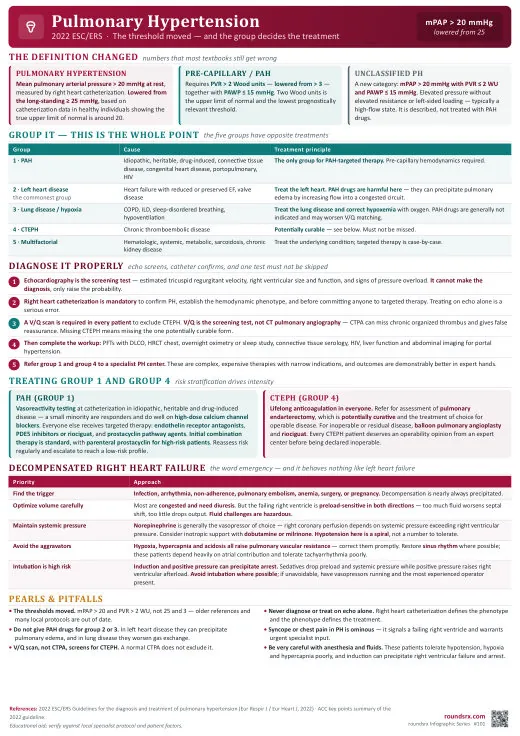 Pulmonary Hypertension one-page infographic. 2022 ESC/ERS · mPAP > 20 · the group decides the treatment. Tap to open the full-size printable PDF.