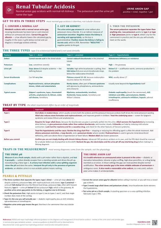 Renal Tubular Acidosis one-page infographic. Types 1, 2 and 4 · The potassium and urine pH name it. Tap to open the full-size printable PDF.