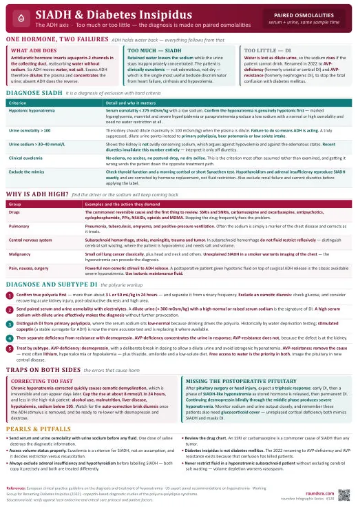 SIADH & Diabetes Insipidus one-page infographic. The ADH axis · Paired osmolalities make the diagnosis. Tap to open the full-size printable PDF.