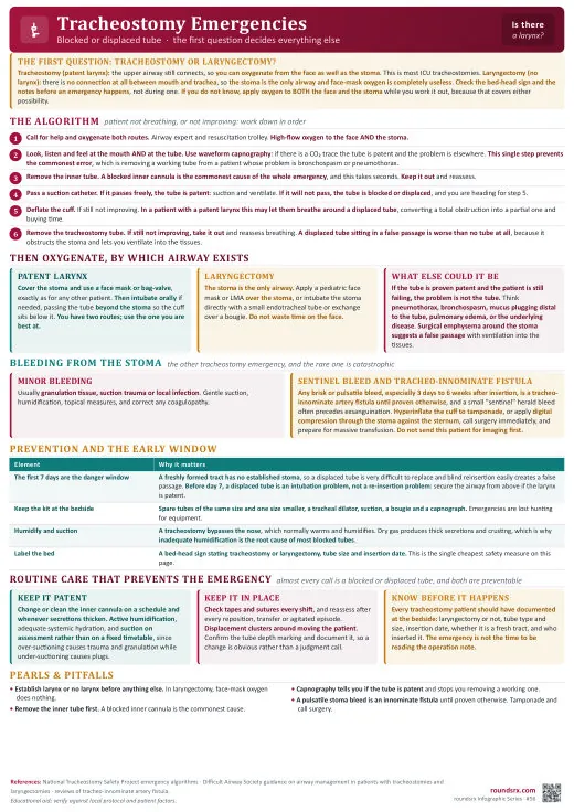 Tracheostomy Emergencies one-page infographic. Blocked or displaced tube · the NTSP algorithm.