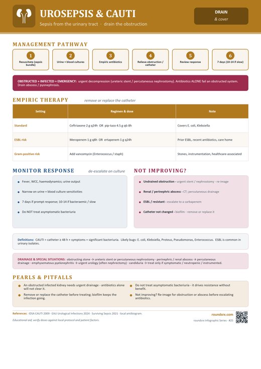 Urosepsis & CAUTI one-page infographic. Sepsis from the urinary tract · drain the obstruction.