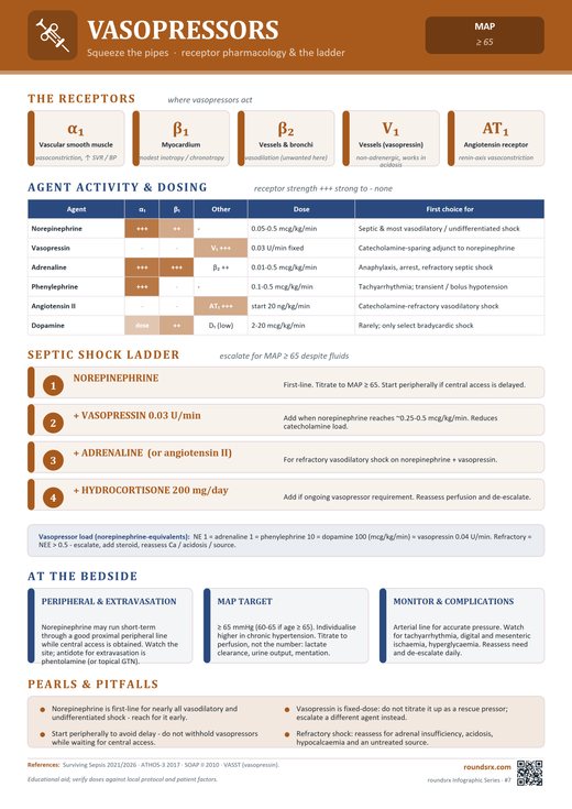 Vasopressors one-page infographic. Squeeze the pipes · receptor pharmacology & the ladder.