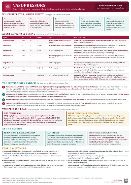 Vasopressors one-page infographic. Squeeze the pipes · receptor pharmacology, dosing and the escalation ladder. Tap to open the full-size printable PDF.